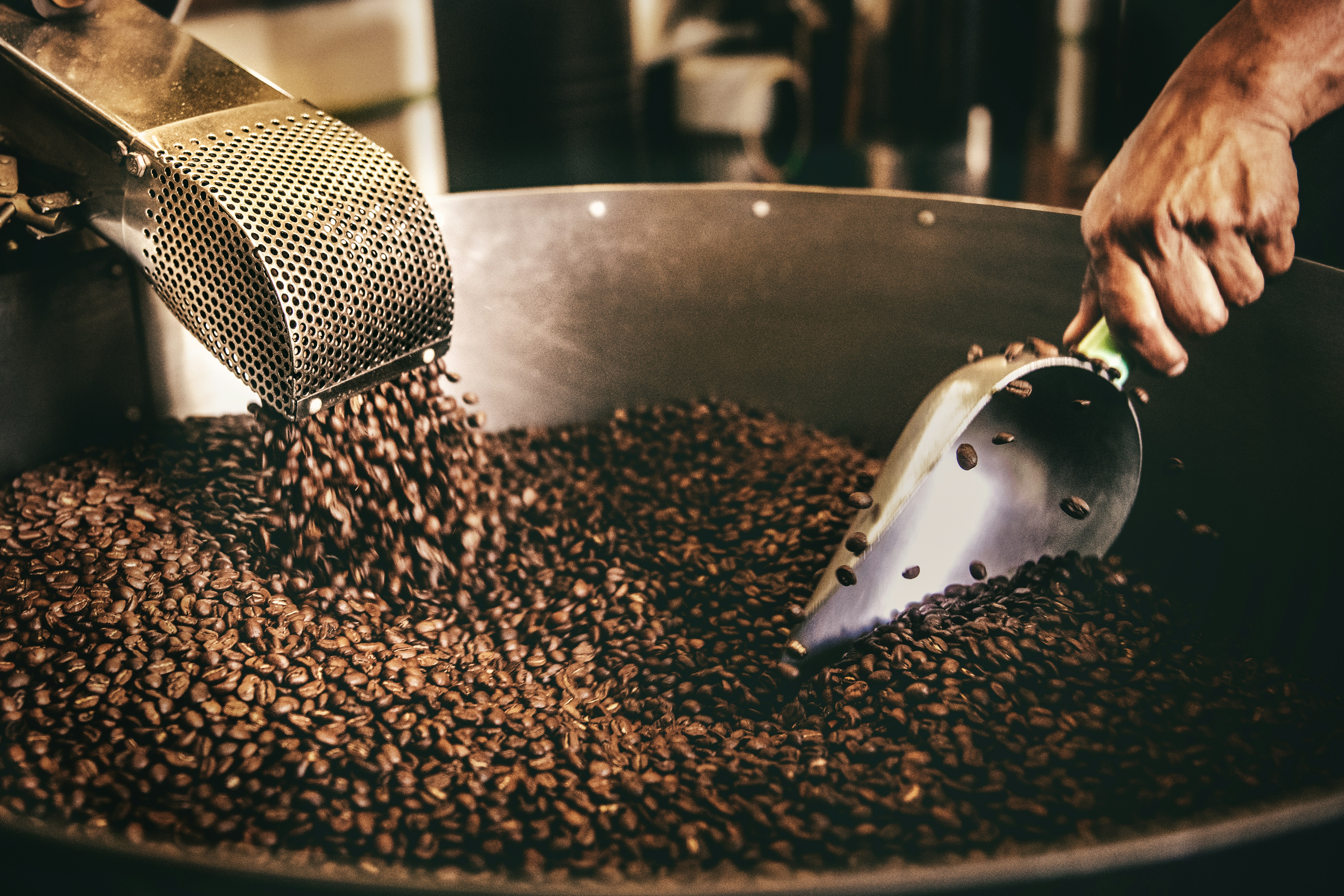 Cup of Ambition: How Britain's Independent Coffee Roasters Are Taking on the World, One Single-Origin Bag at a Time