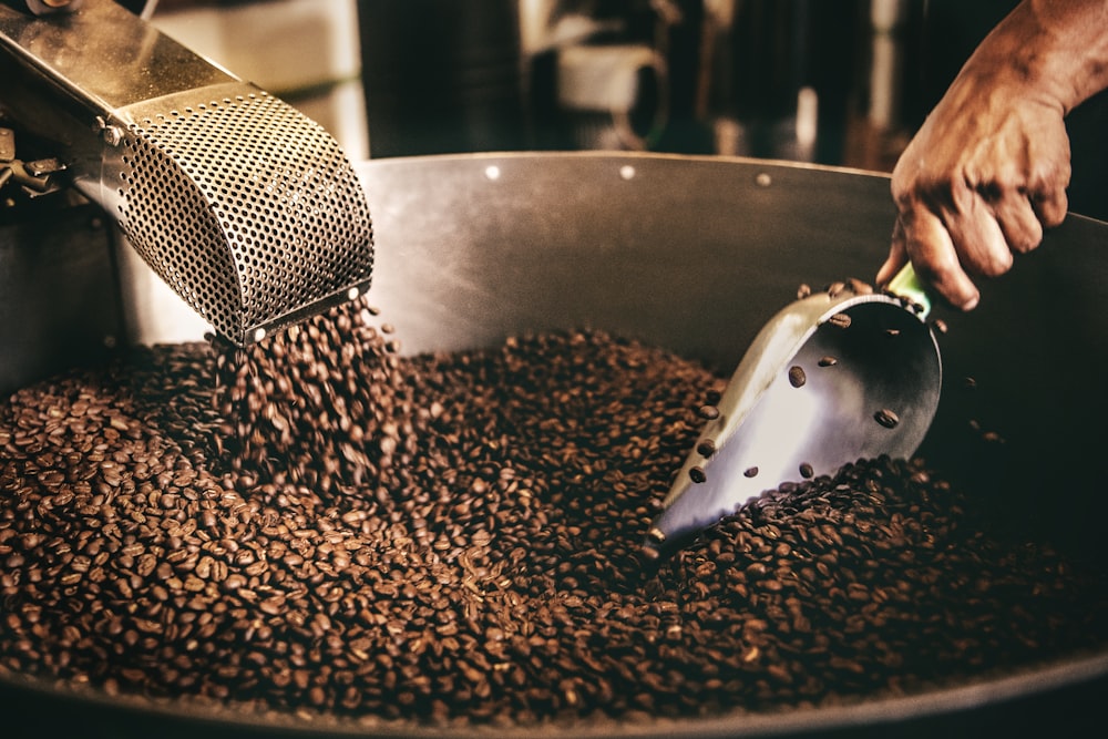 black and white ceramic fish figurine on black and brown coffee beans