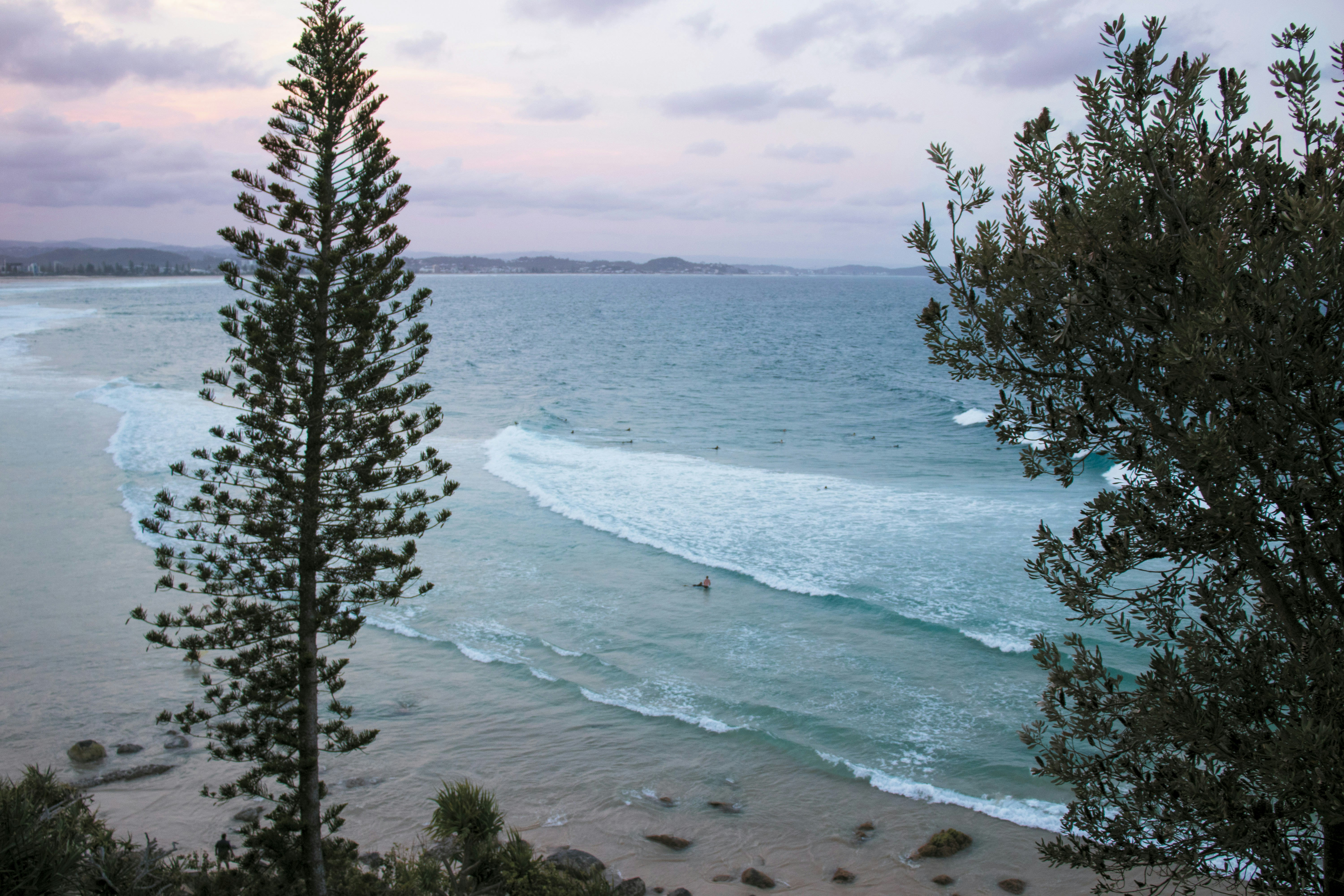 Photo by brunopirescruz