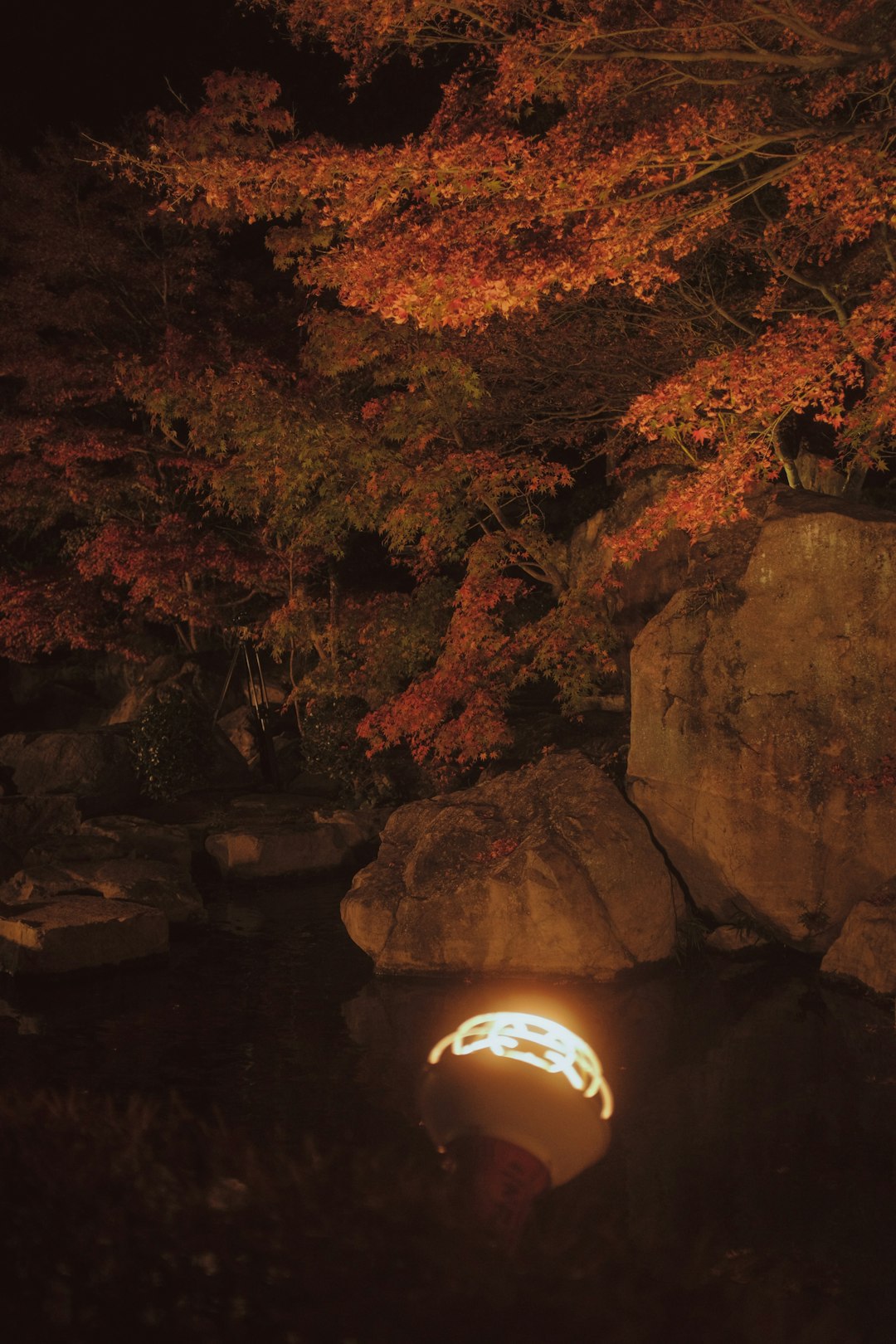 brown rock formation with light