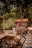 Bright and inviting terrace with wooden tables and chairs, surrounded by tall forest trees.