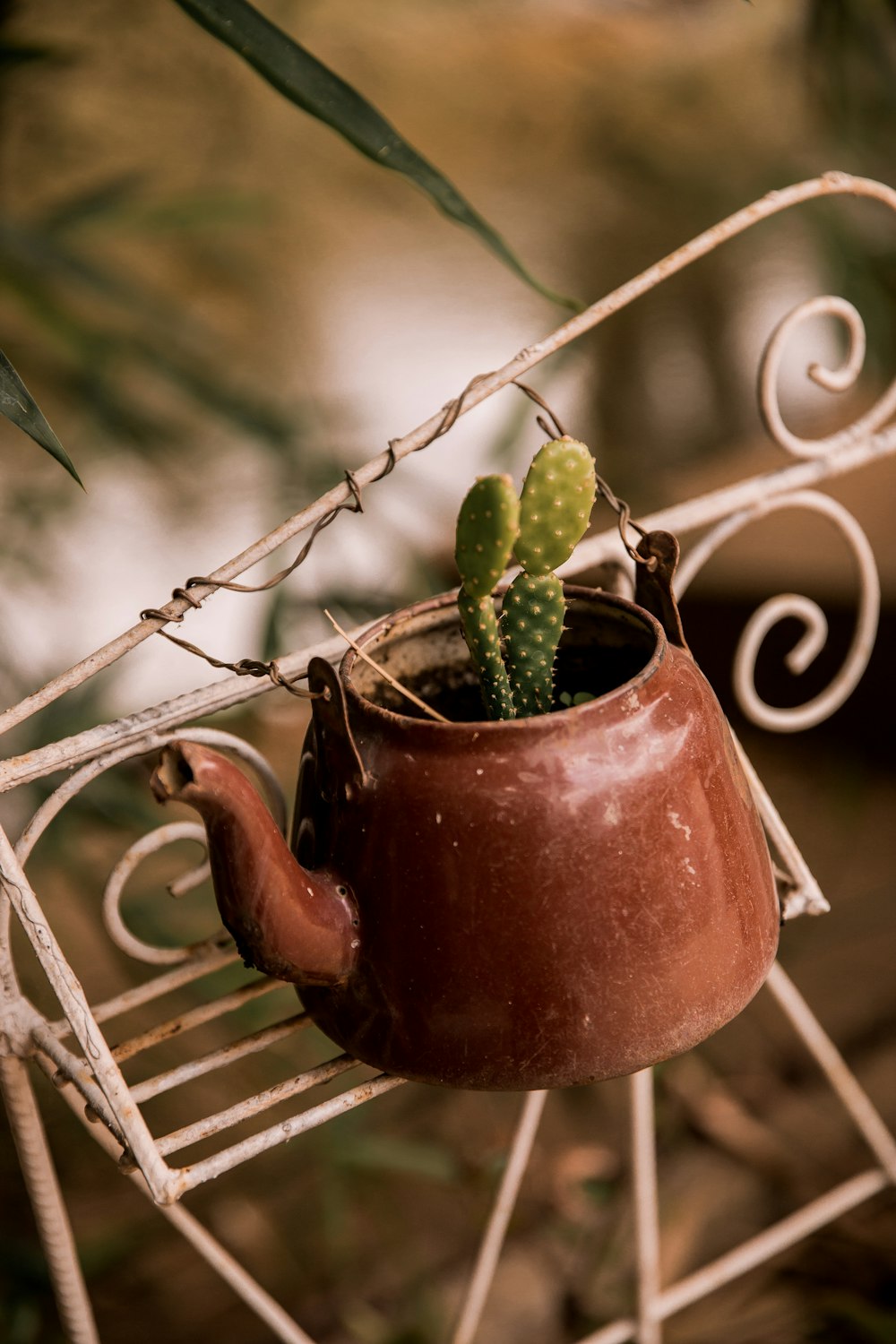 green and red fruit on brown ceramic pot