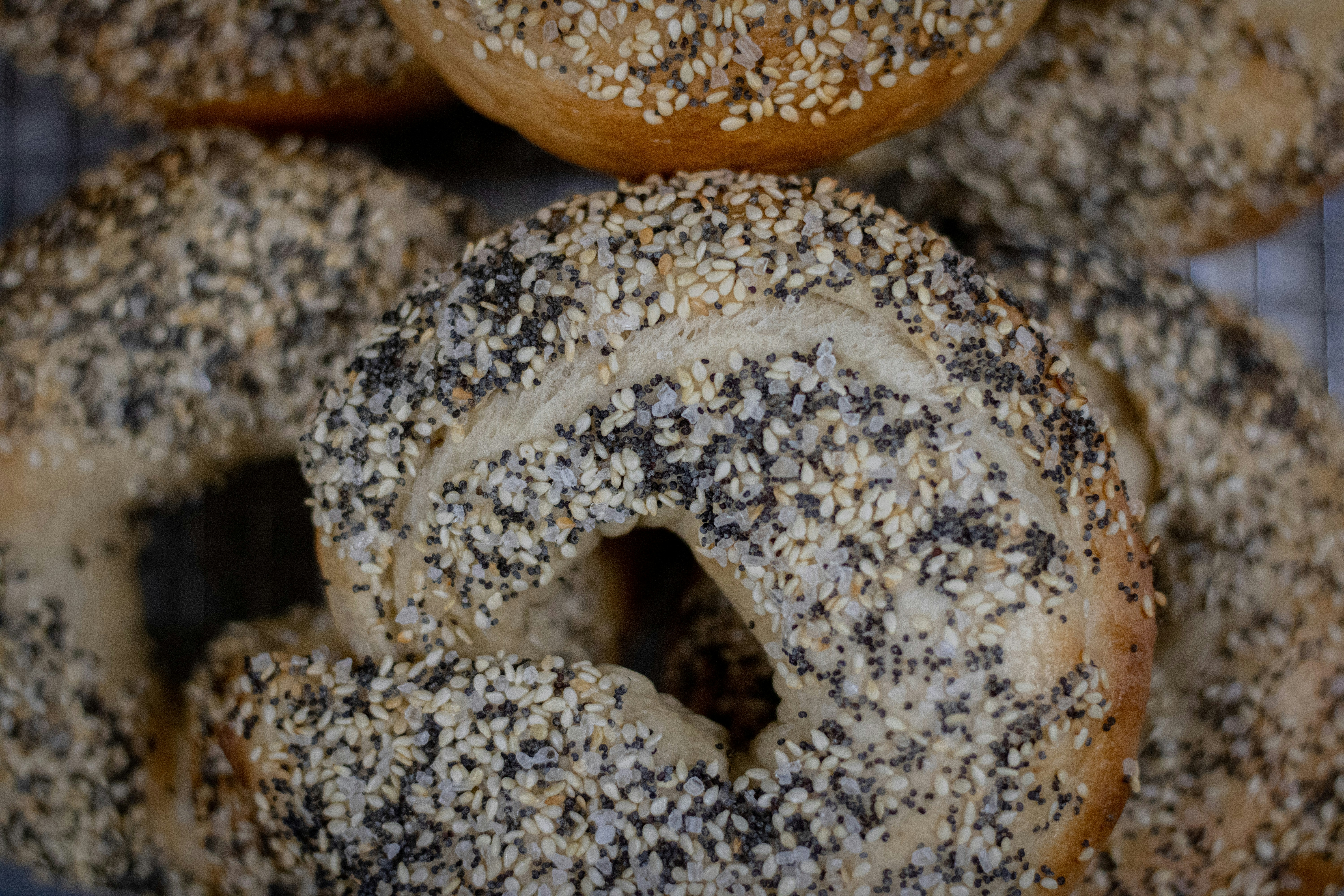 Photo by commonboxturtle