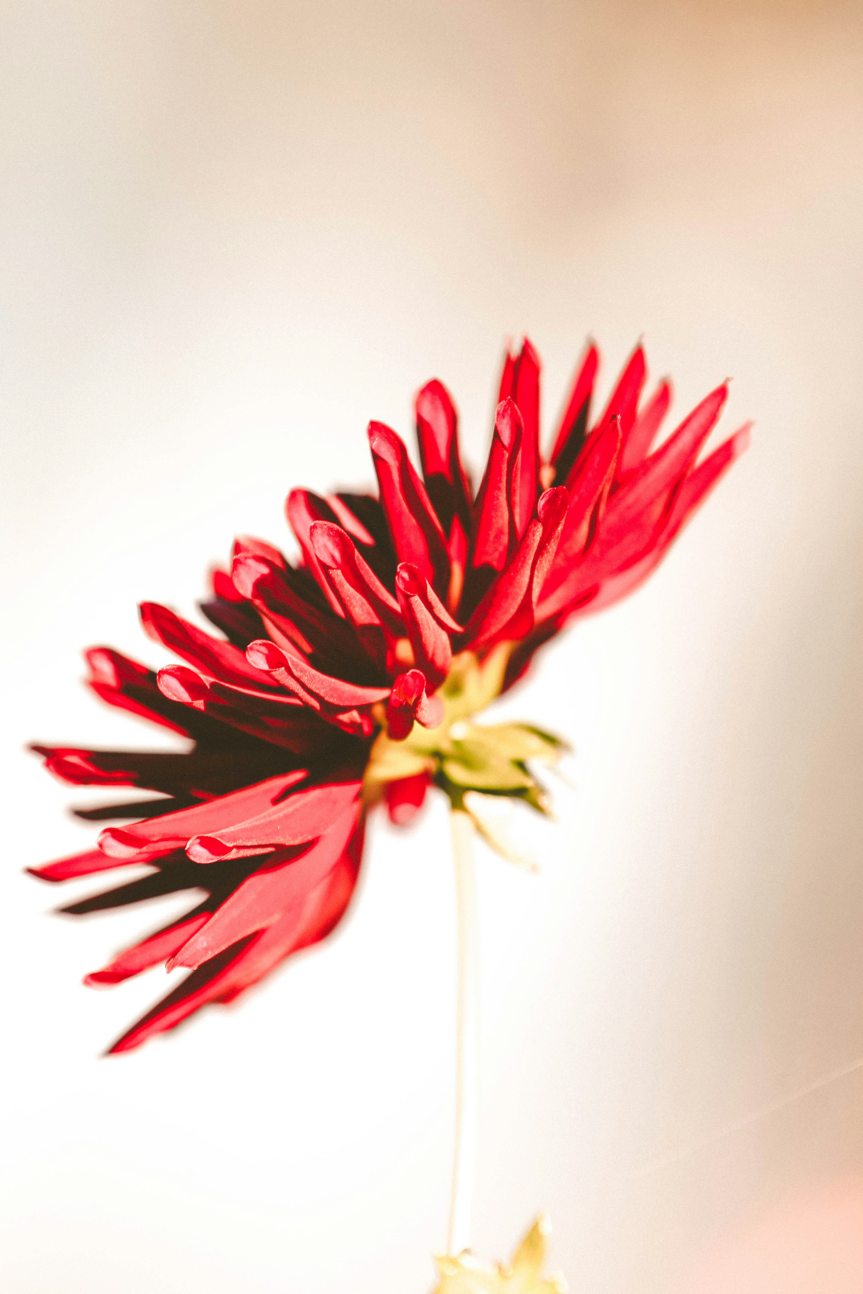 Photo by arseneovrejorde