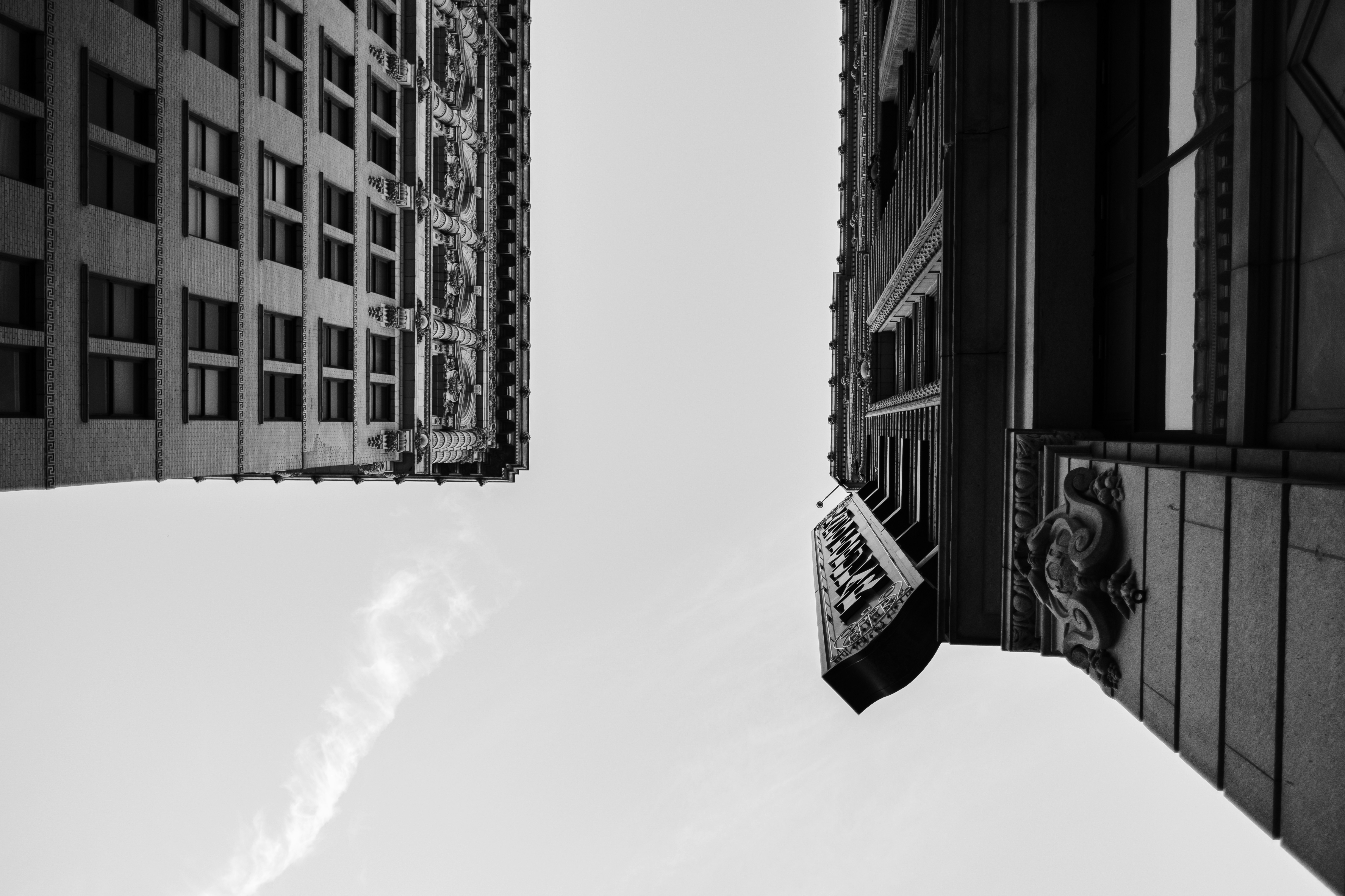 Photo by levimeirclancy