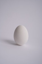  white egg on white surface