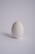  white egg on white surface