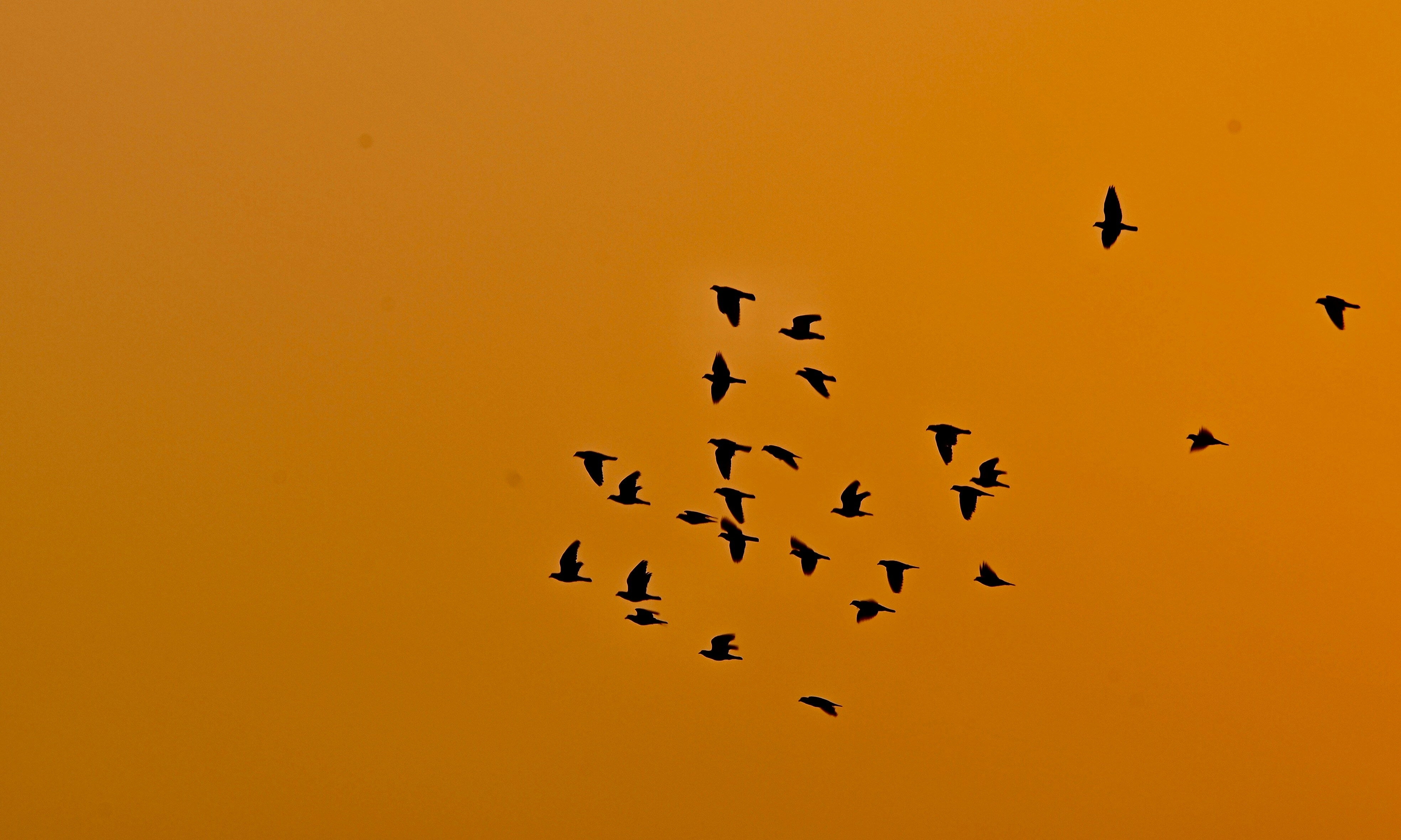 Fliegenangeln für Anfänger: Rute, Schnur und erste Würfe