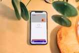 A smartphone is placed on a light wooden surface, displaying a digital wallet interface with an ING credit card and Mastercard logo. Green plant leaves partially frame the top and left sides of the image.