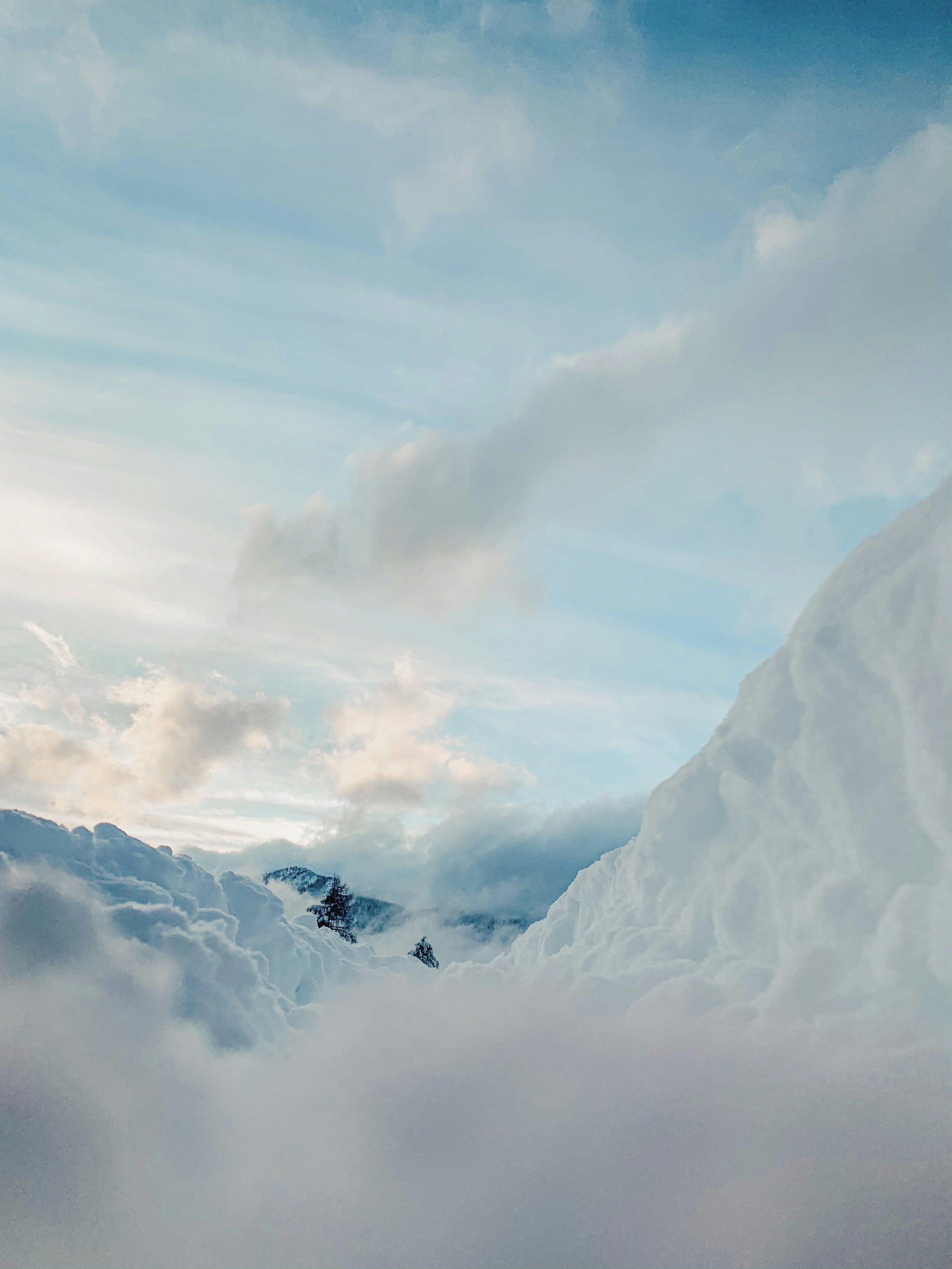 Photo by kajareichardtphotos