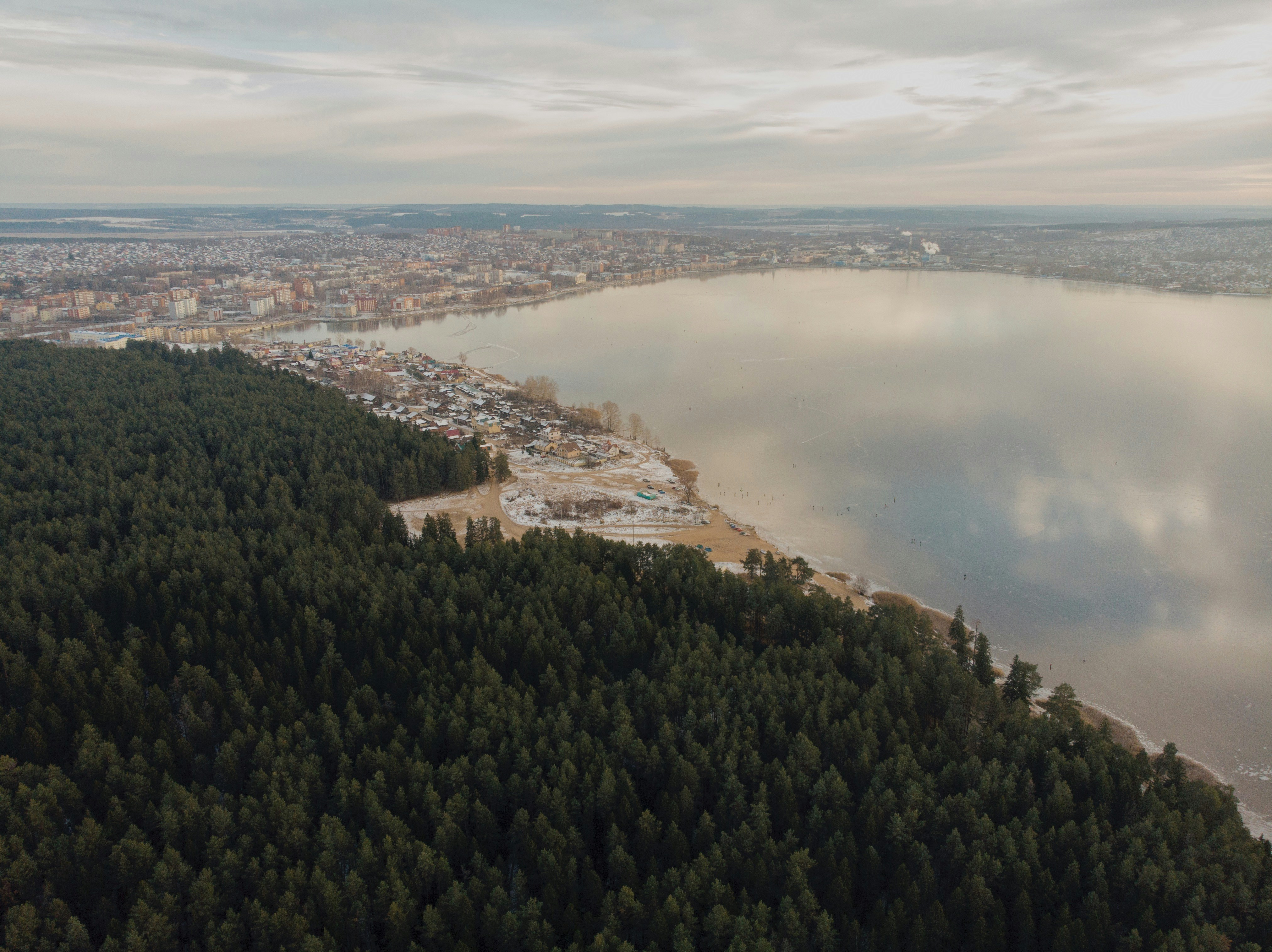 green trees near body of water during daytime, 