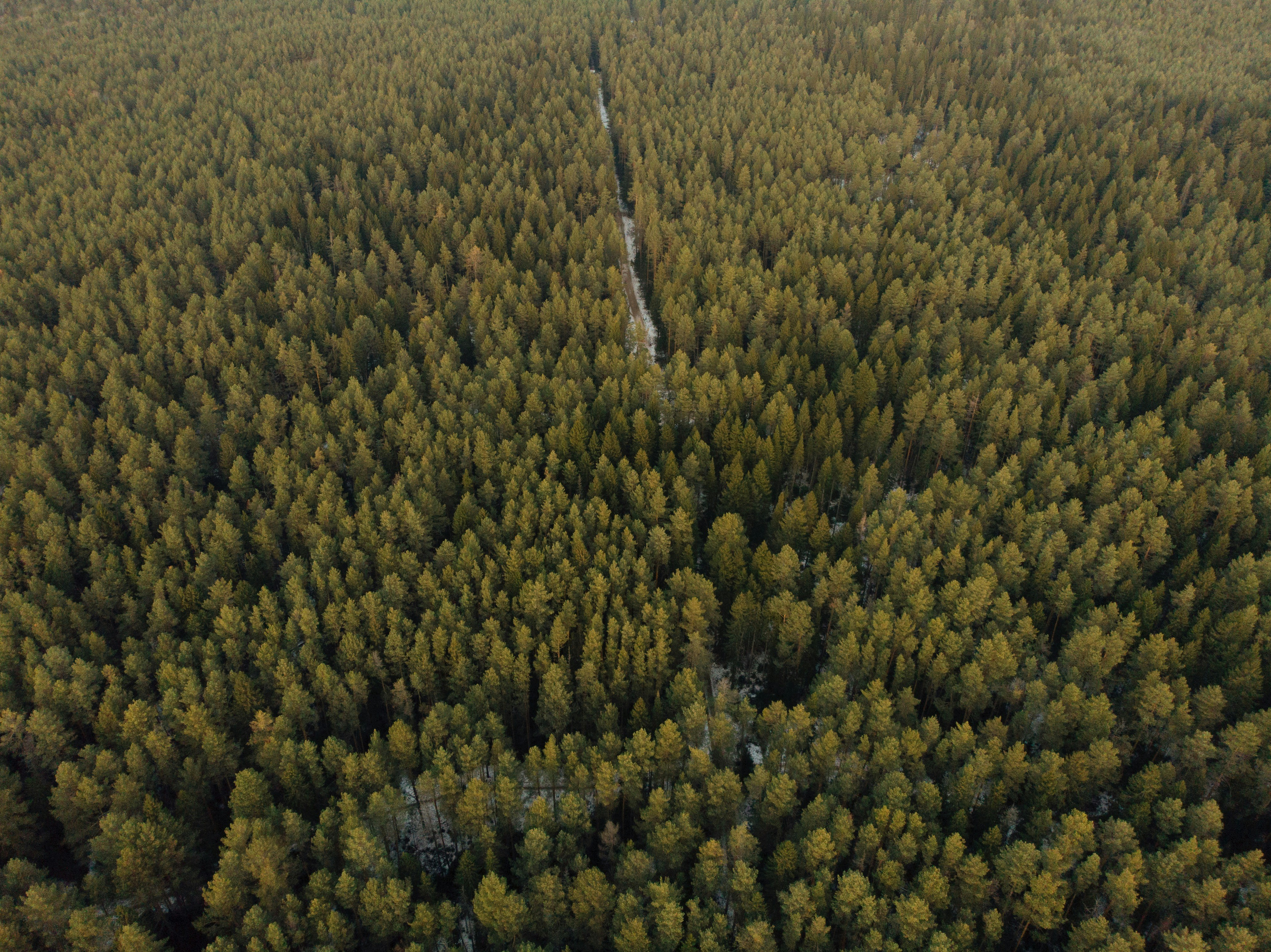 Photo by whoisrobinhood