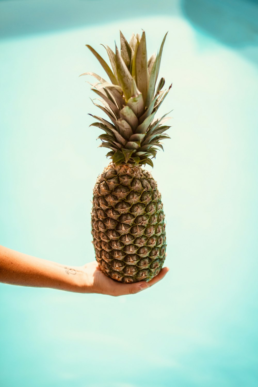 pineapple fruit on persons hand