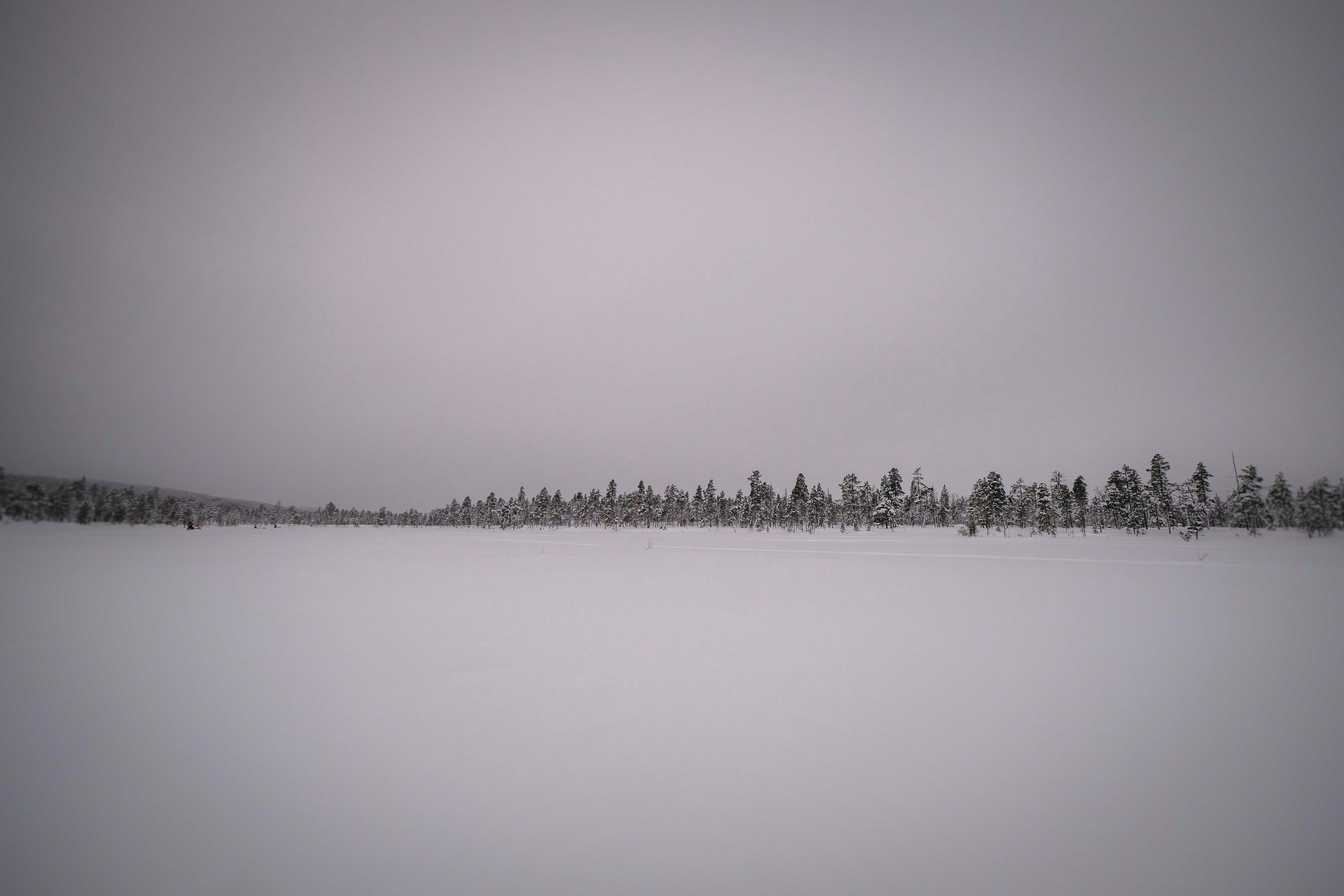 Photo by francesco_ungaro