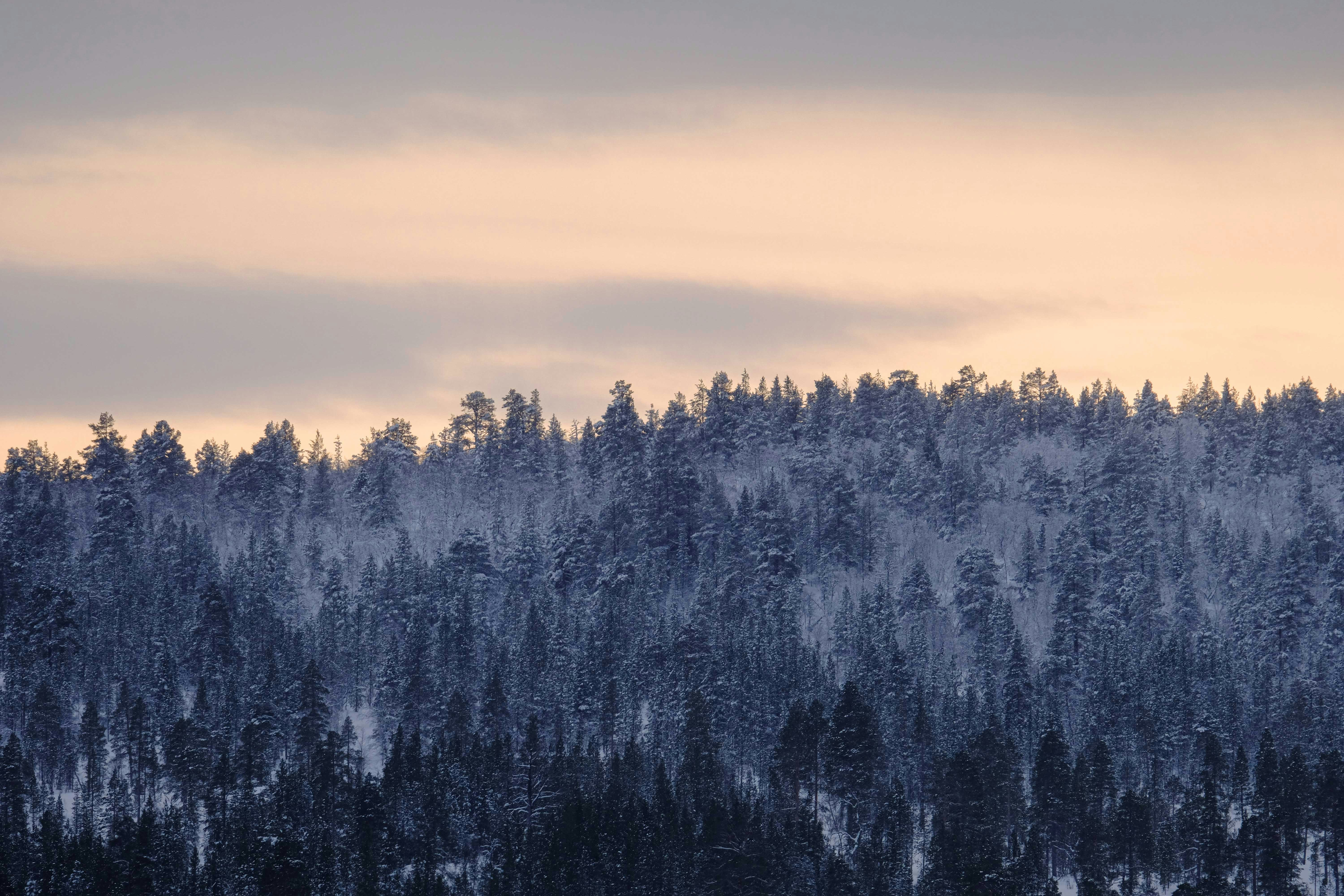 Photo by francesco_ungaro