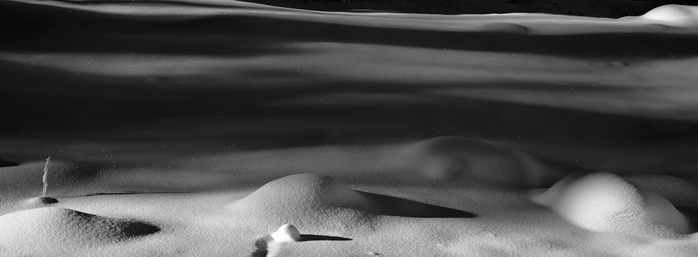 grayscale photo of snow covered ground