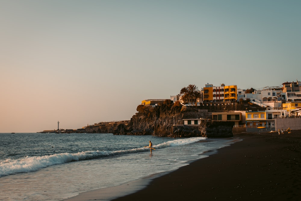 people on beach during daytime