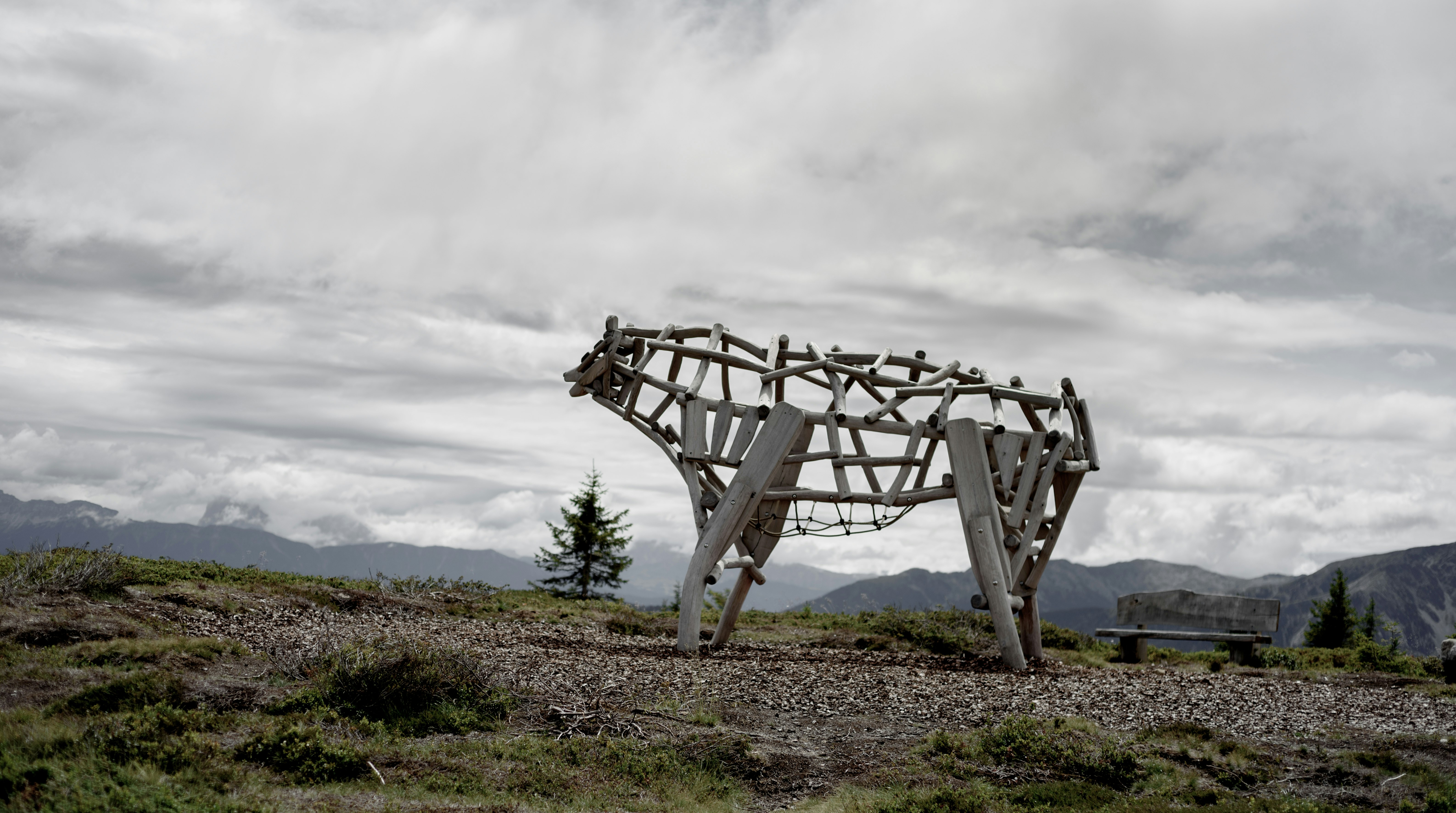 white wooden bench on green grass field under white cloudy sky during daytime