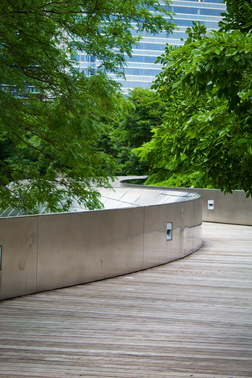 green trees beside white concrete wall