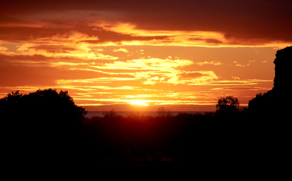 silhouette of trees during sunset