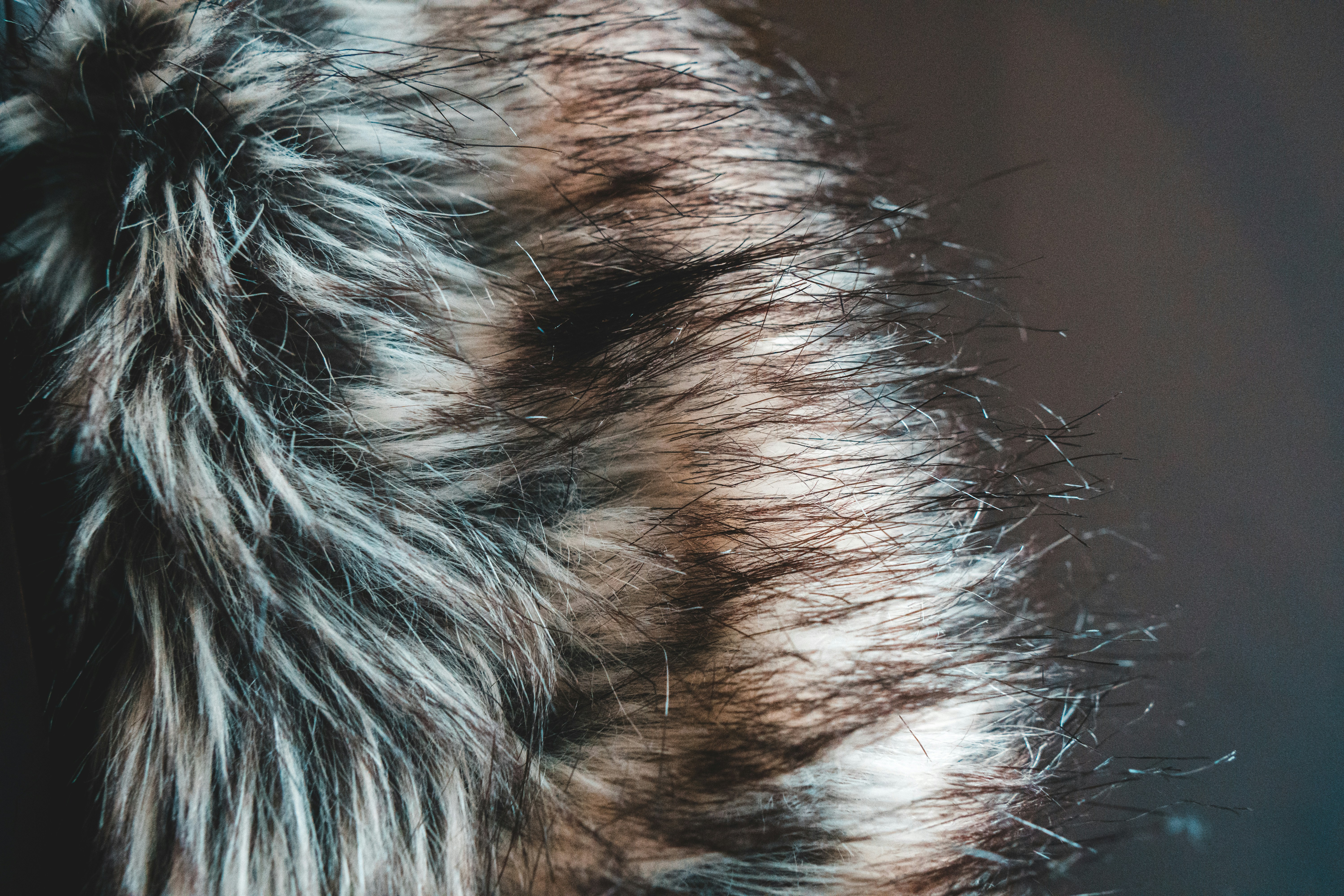 Photo by introspectivedsgn