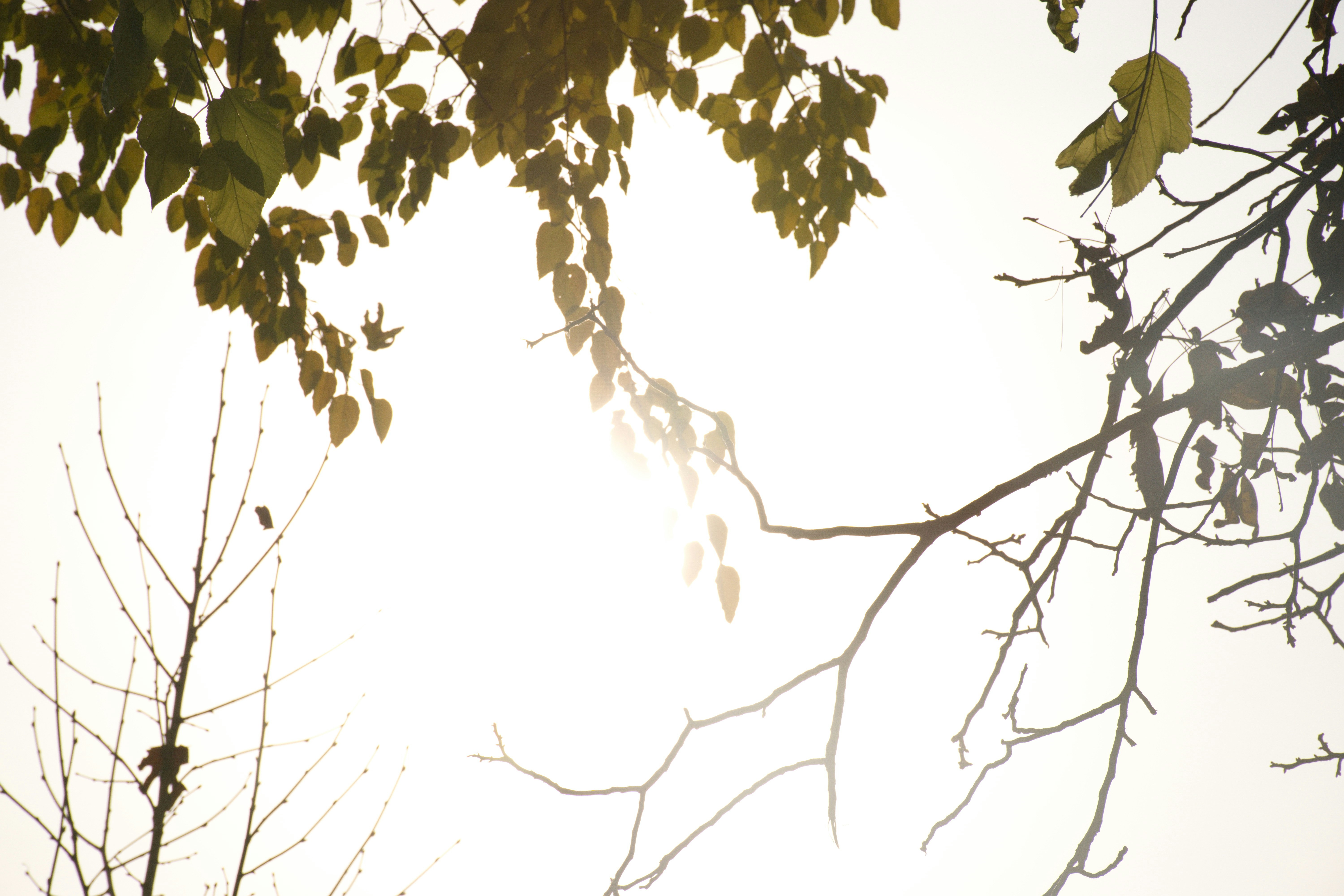 Photo by shahinkhalilifar