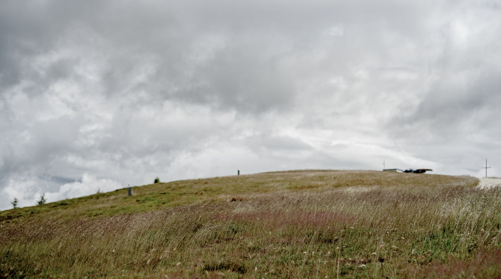 green grass field under cloudy sky during daytime