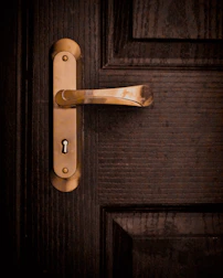 gold door lever on brown wooden door