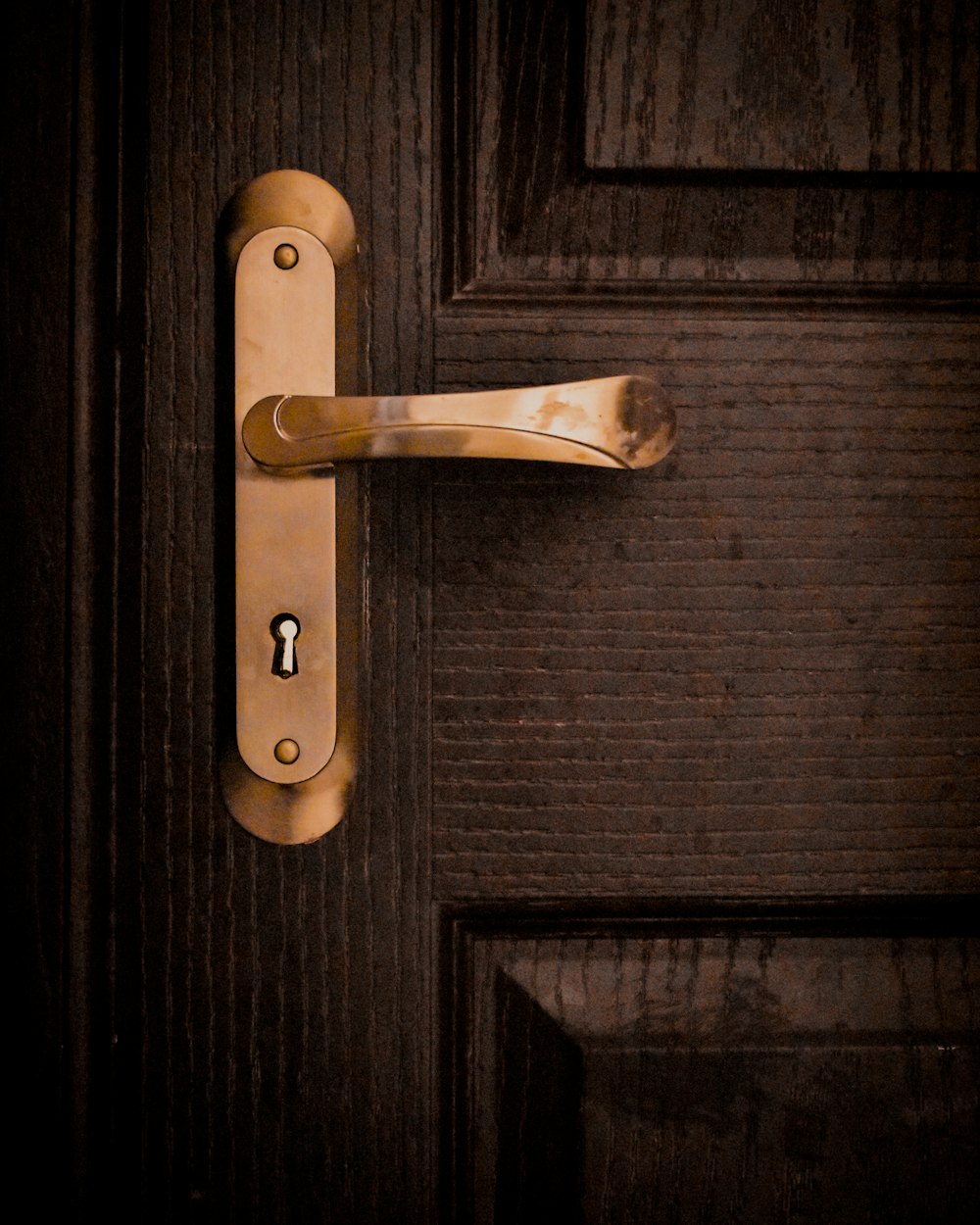 gold door lever on brown wooden door