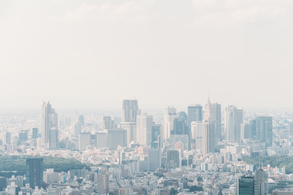 city skyline under white sky during daytime