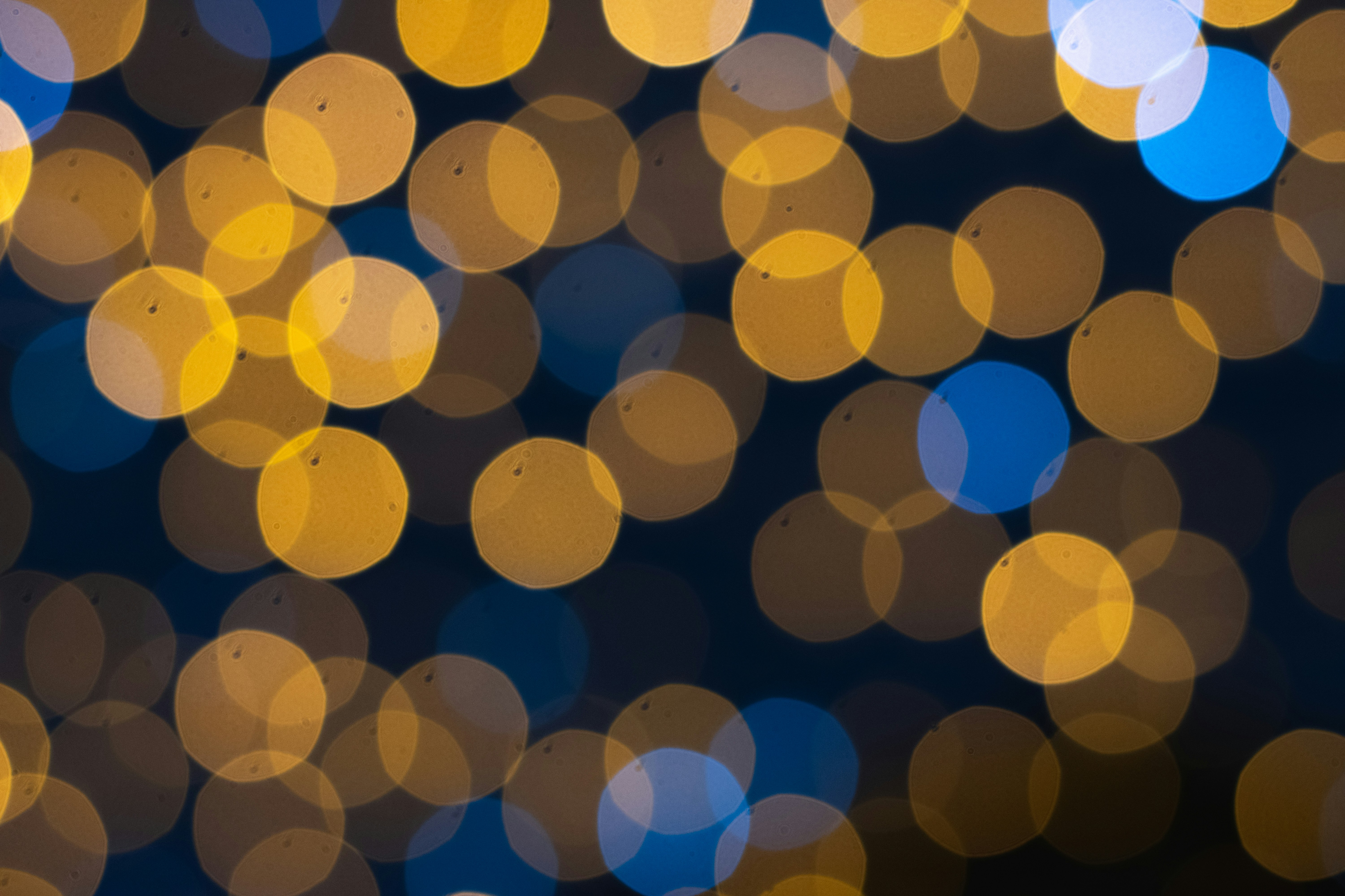 Photo by itsrobcoates