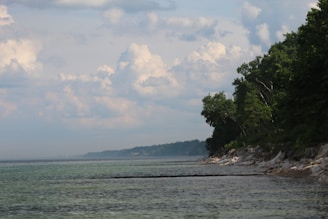 An image depicting calming nature scenery.