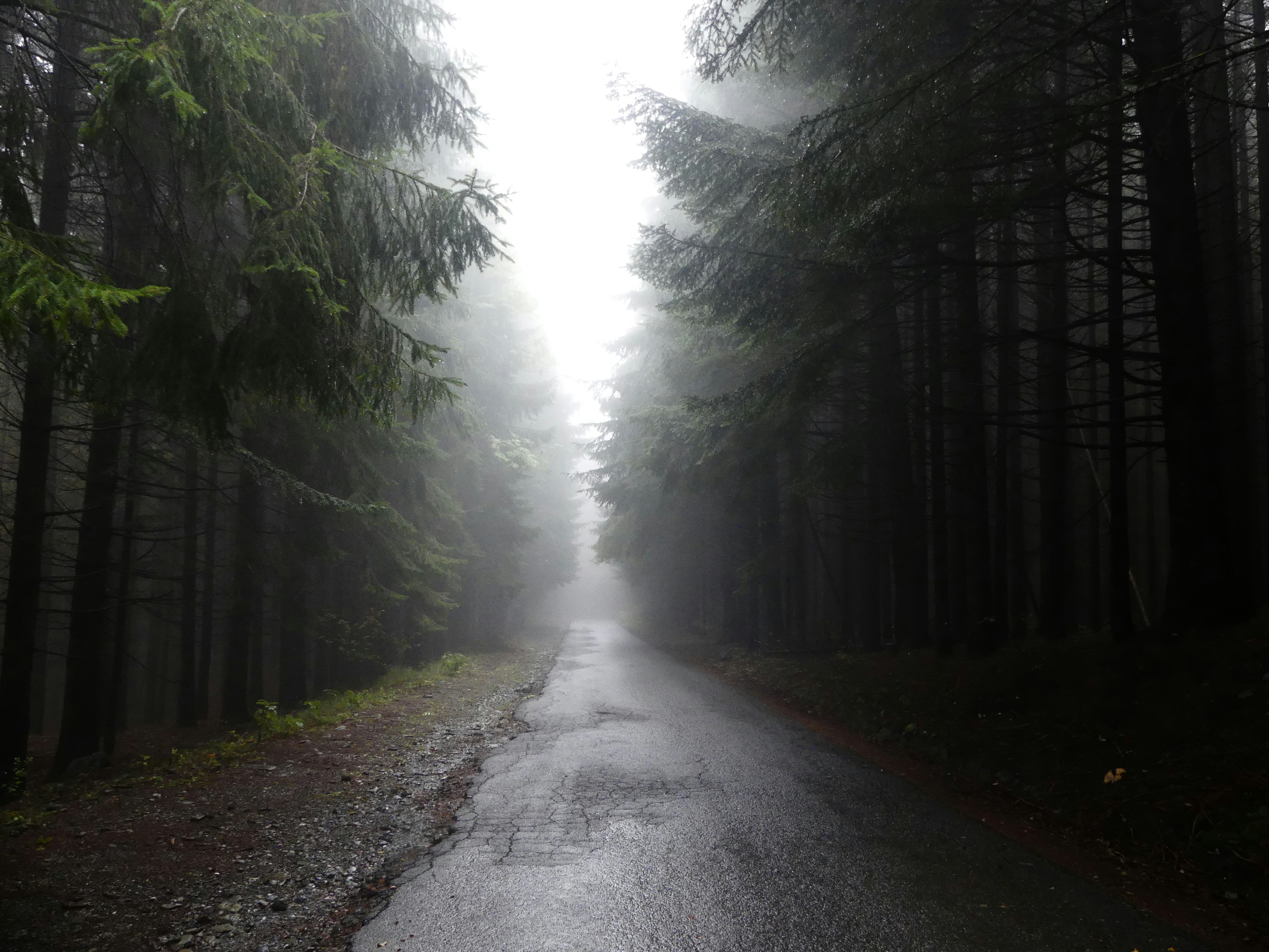 Photo by sempredilunedi