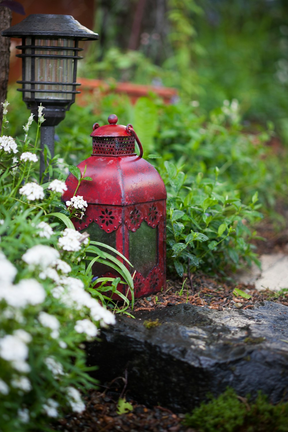 red fire hydrant beside white flowers
