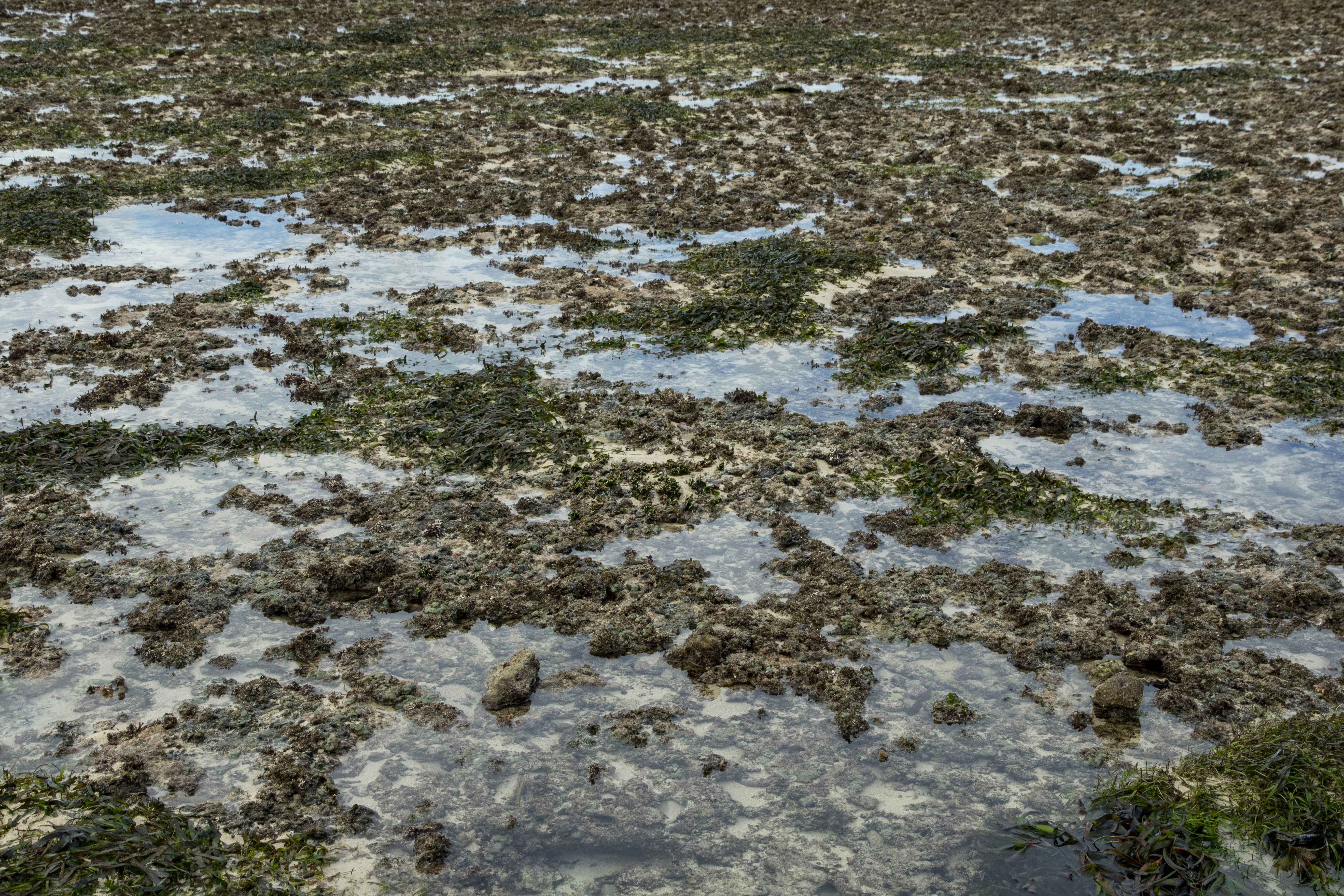 Photo by robincanfield