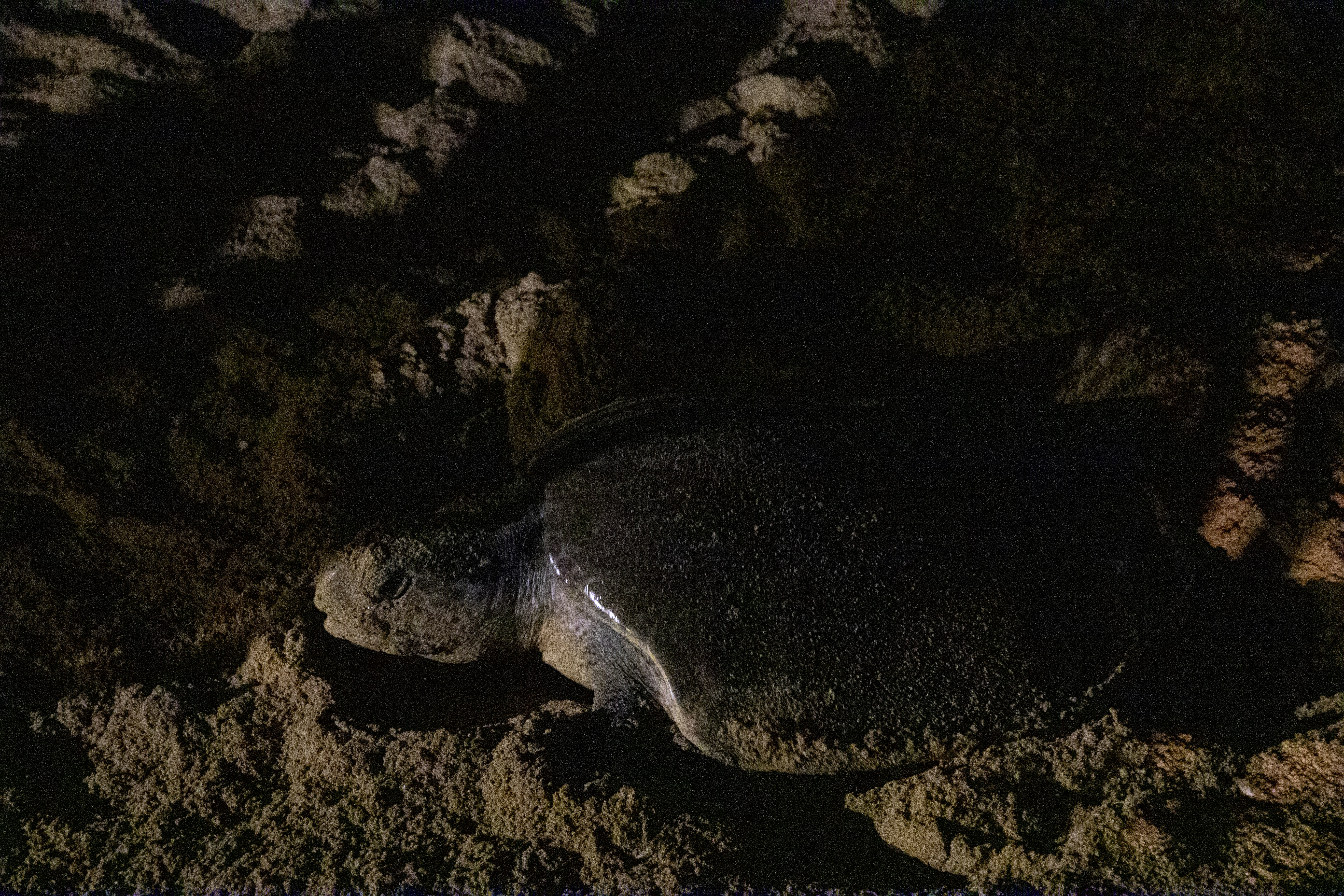 Jimbaran, Bali, Indonesia cover image