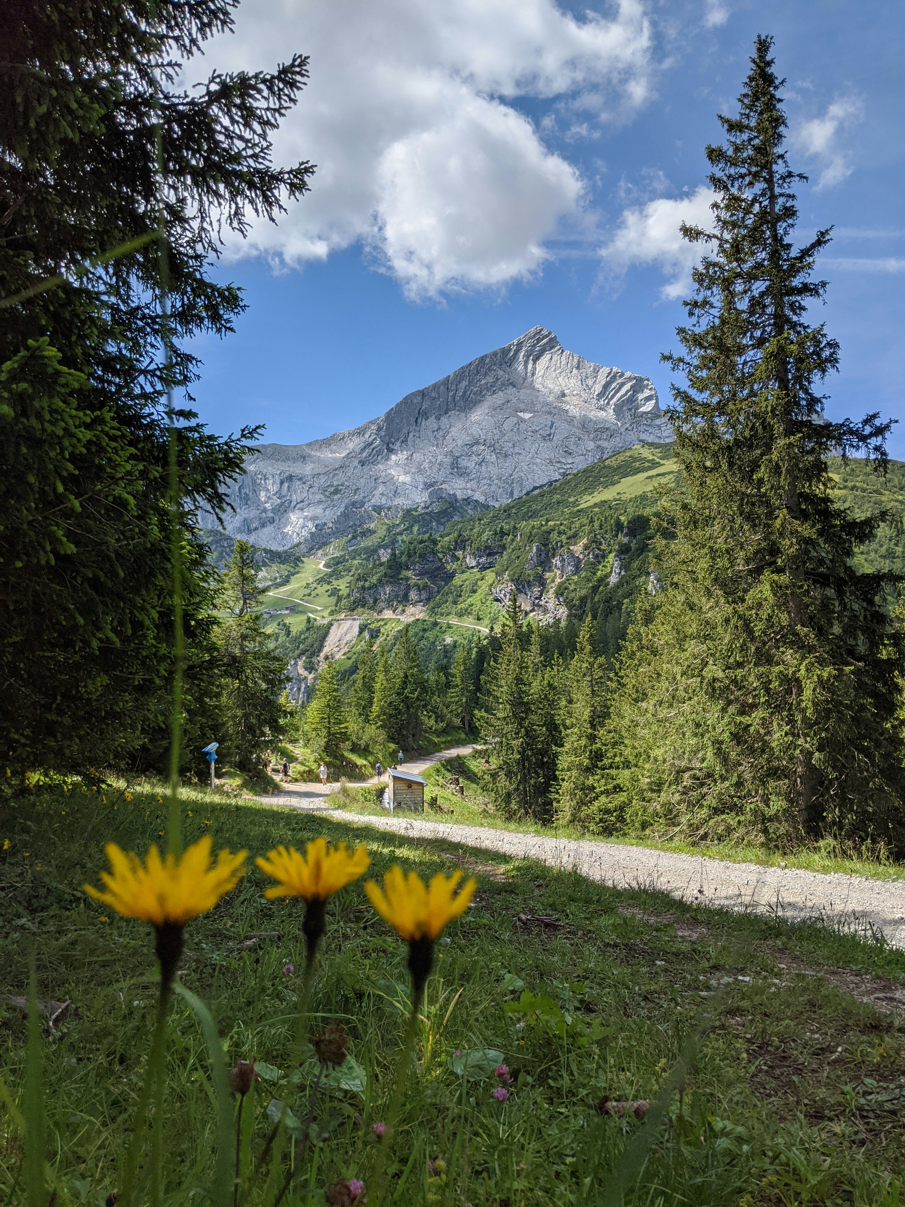 Grüne Bäume in der Nähe von Bergen unter blauem Himmel tagsüber