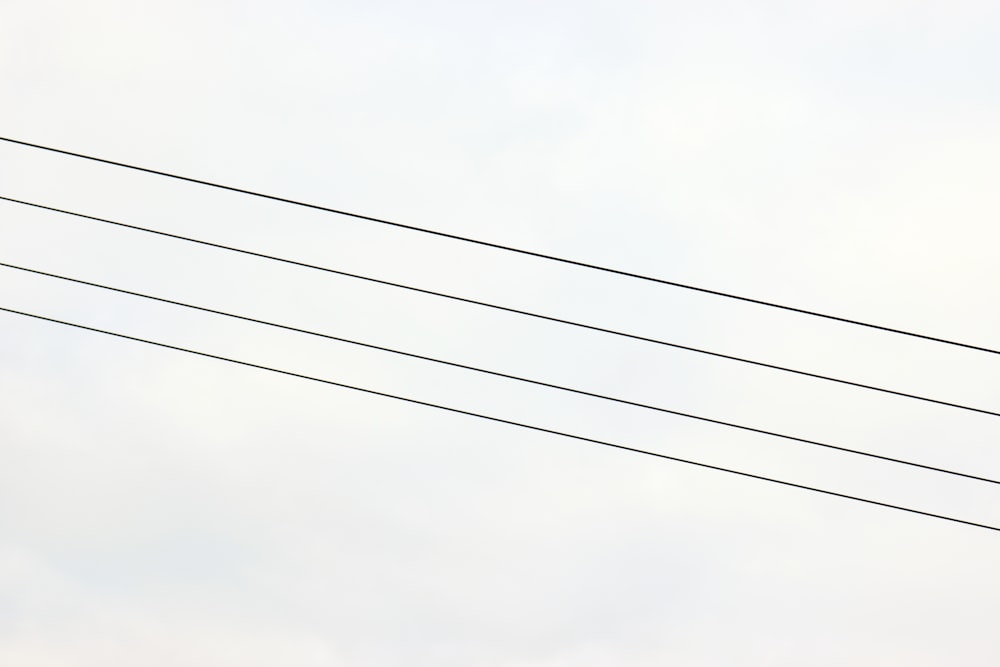 black electric wires under white sky during daytime
