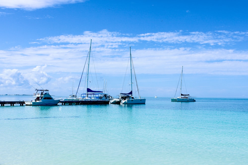 white and blue boat on sea under blue sky during daytime