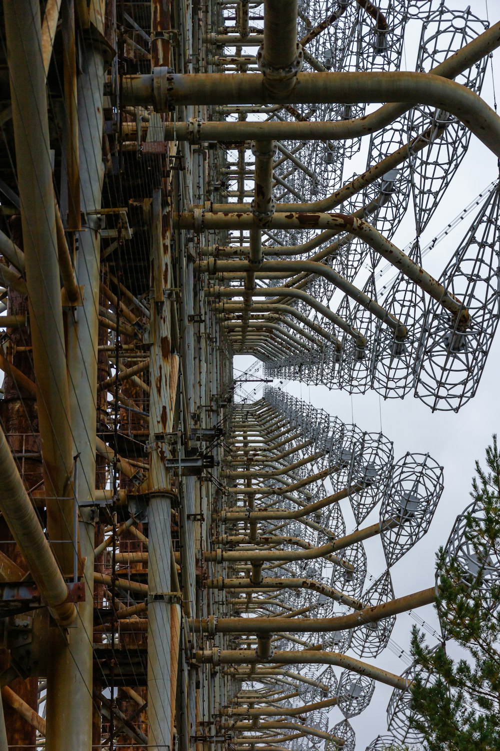 Estructura de madera marrón con techo de cristal