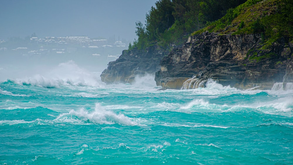 green trees on brown rocky mountain beside sea during daytime