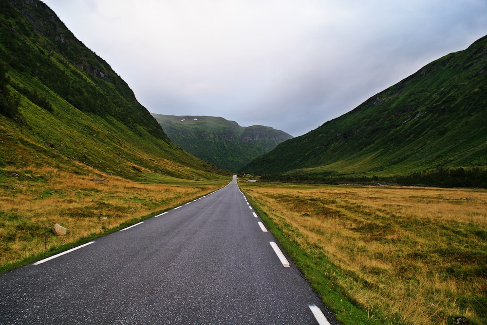 gray concrete road between green grass field during daytime