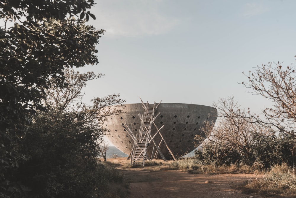 round glass structure near trees during daytime