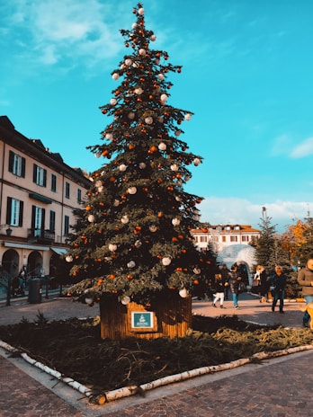 Children laughing while decorating a large outdoor Christmas tree in Valdemorillo's town square.