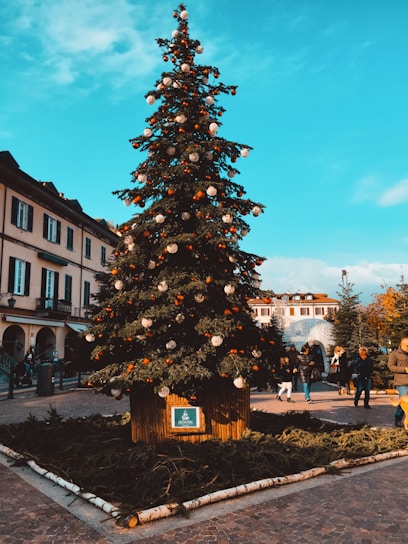 Children decorating a large Christmas tree in the town square of Villaviciosa de Odón.