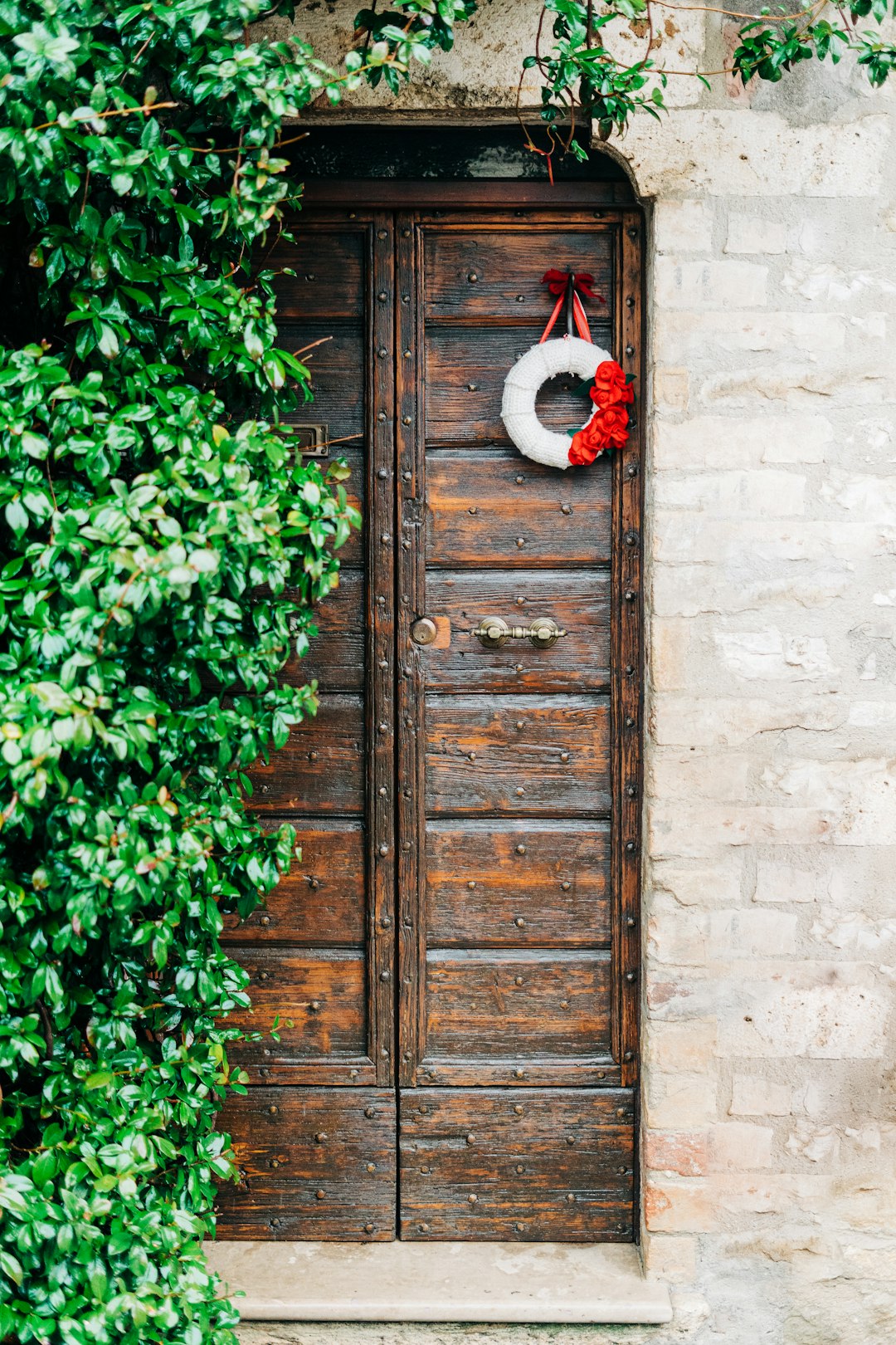red and white bird on brown wooden door