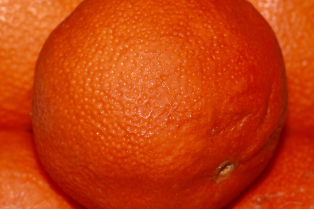 Fruta naranja en fotografía de primer plano