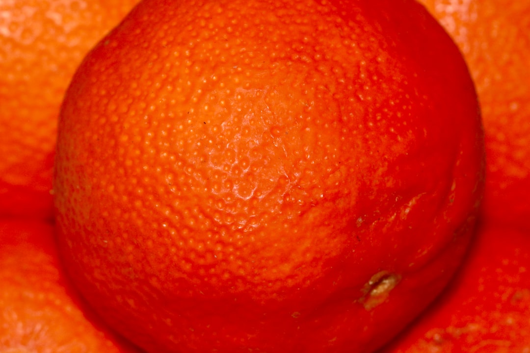 orange fruit in close up photography