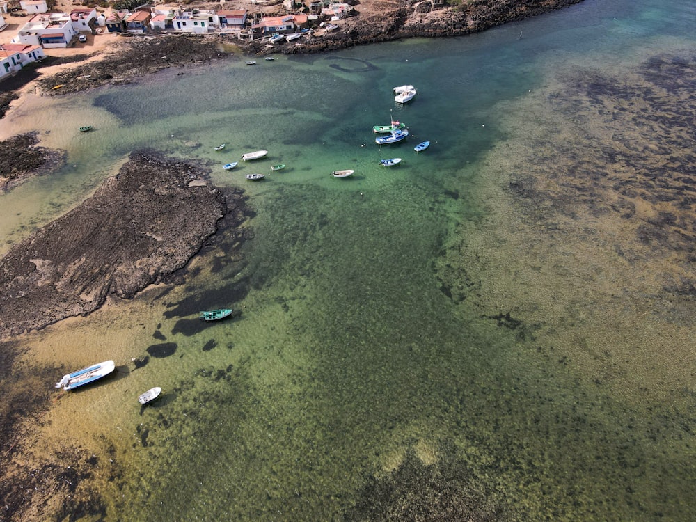 persone che nuotano sul mare durante il giorno