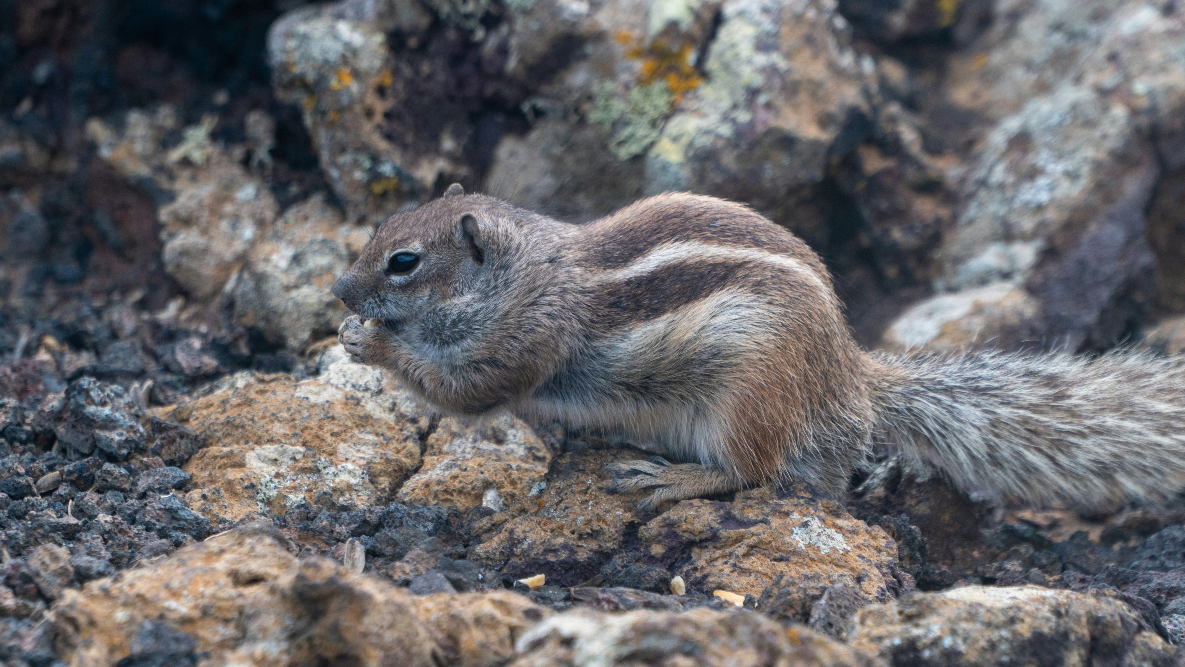 Photo by aabergkvist